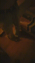 3 00_00_00-00_00_30.gif